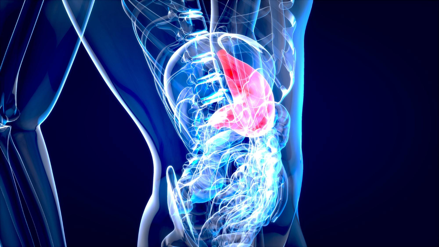 You are currently viewing Innovations in Gastroenterology: Advancements in Diagnosis and Treatment